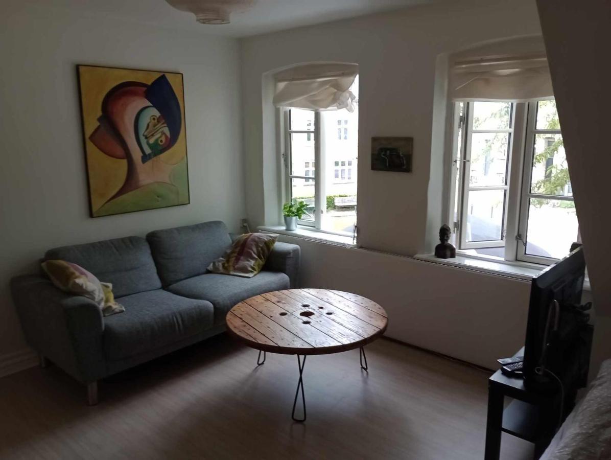 Professor Labri Apartments Odense Bagian luar foto