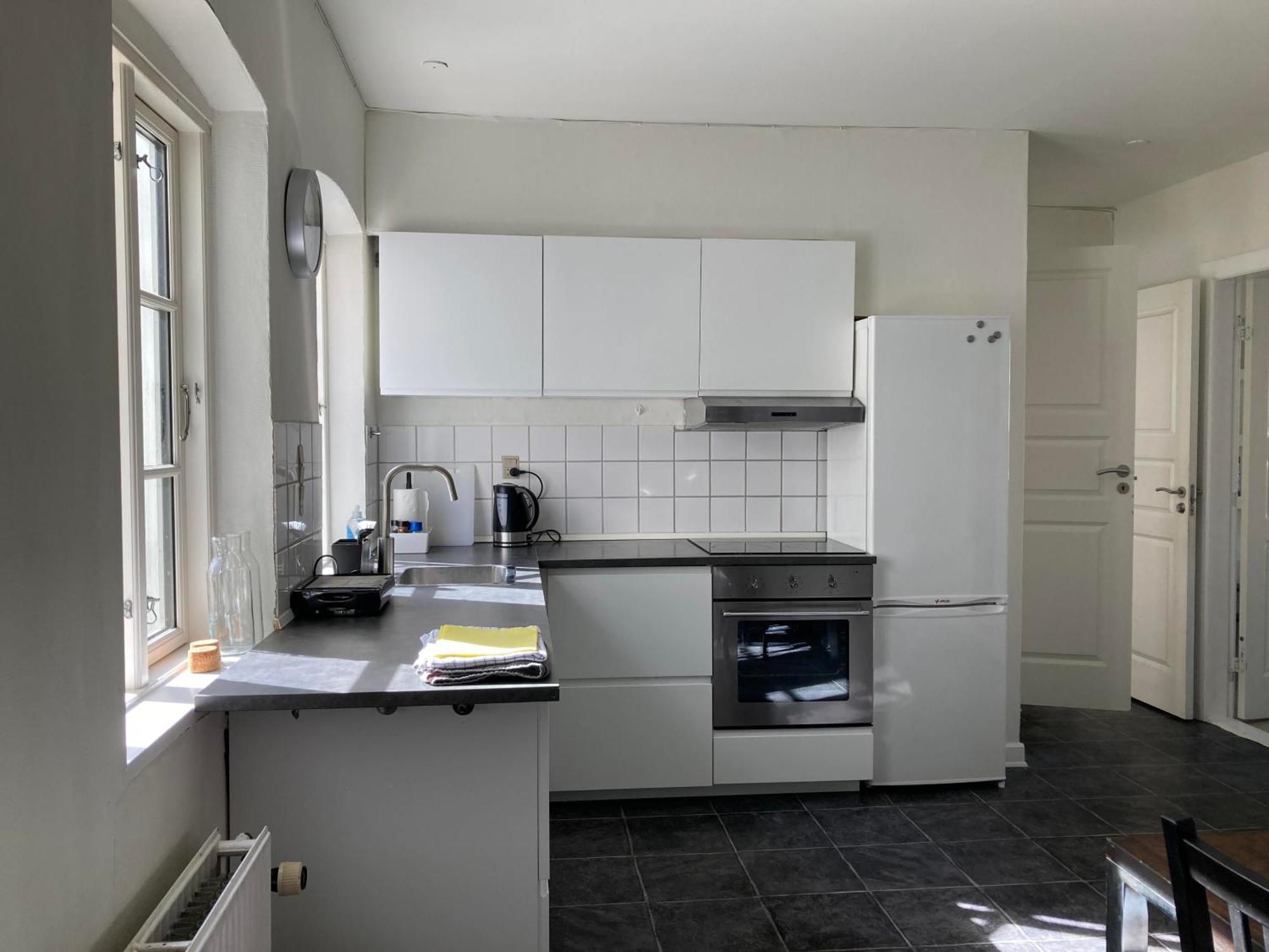 Professor Labri Apartments Odense Bagian luar foto